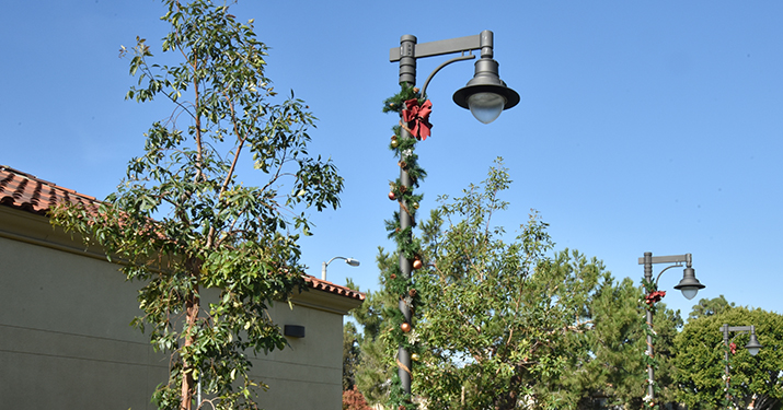 Harvard Place, Newport Beach